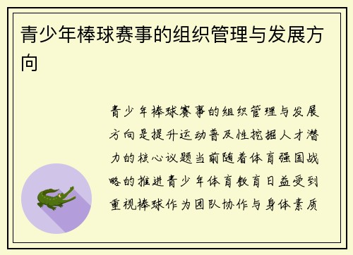 青少年棒球赛事的组织管理与发展方向